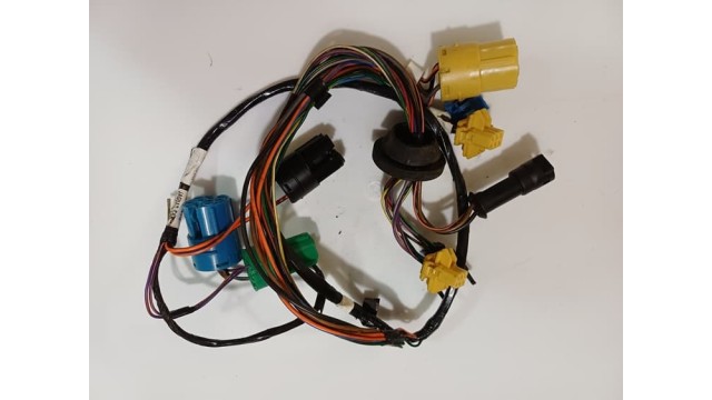 Door Harness eft Hand Rear / Right Hand Rear