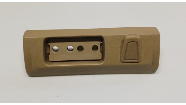 Dowager Strap Cover Finisher Trim Right Hand + Coat Hook